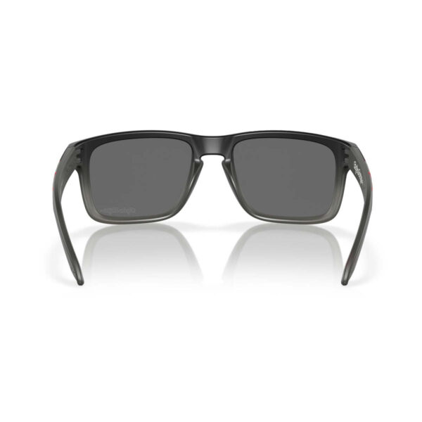 Sonnenbrille Holbrook TLD