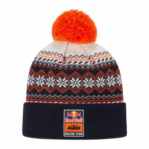 Beanie Winter