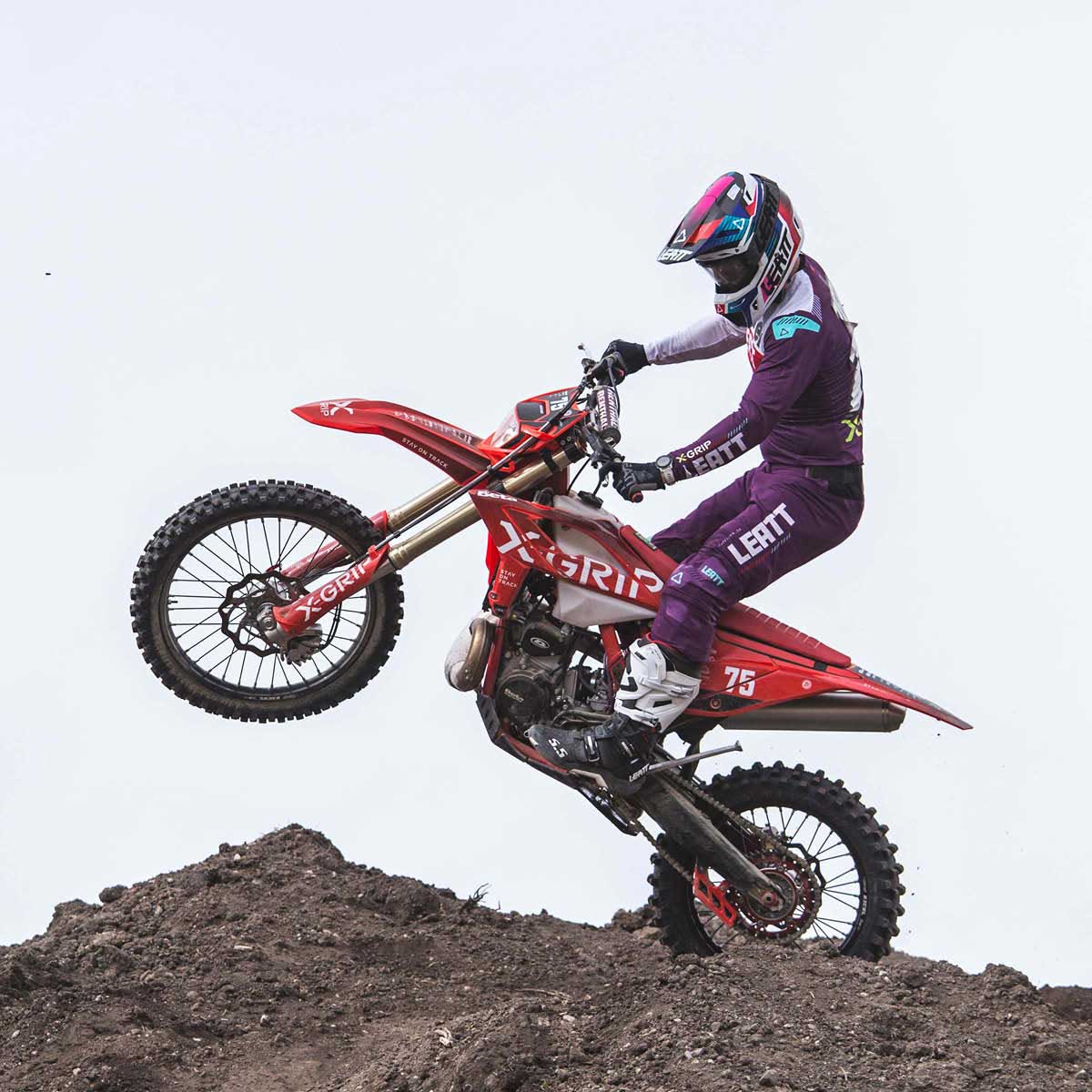 Dekorbogen #23 / #24 für BETA